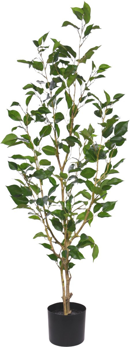Ficus Exotica Kunstplant met pot, Hoogte: 120 cm