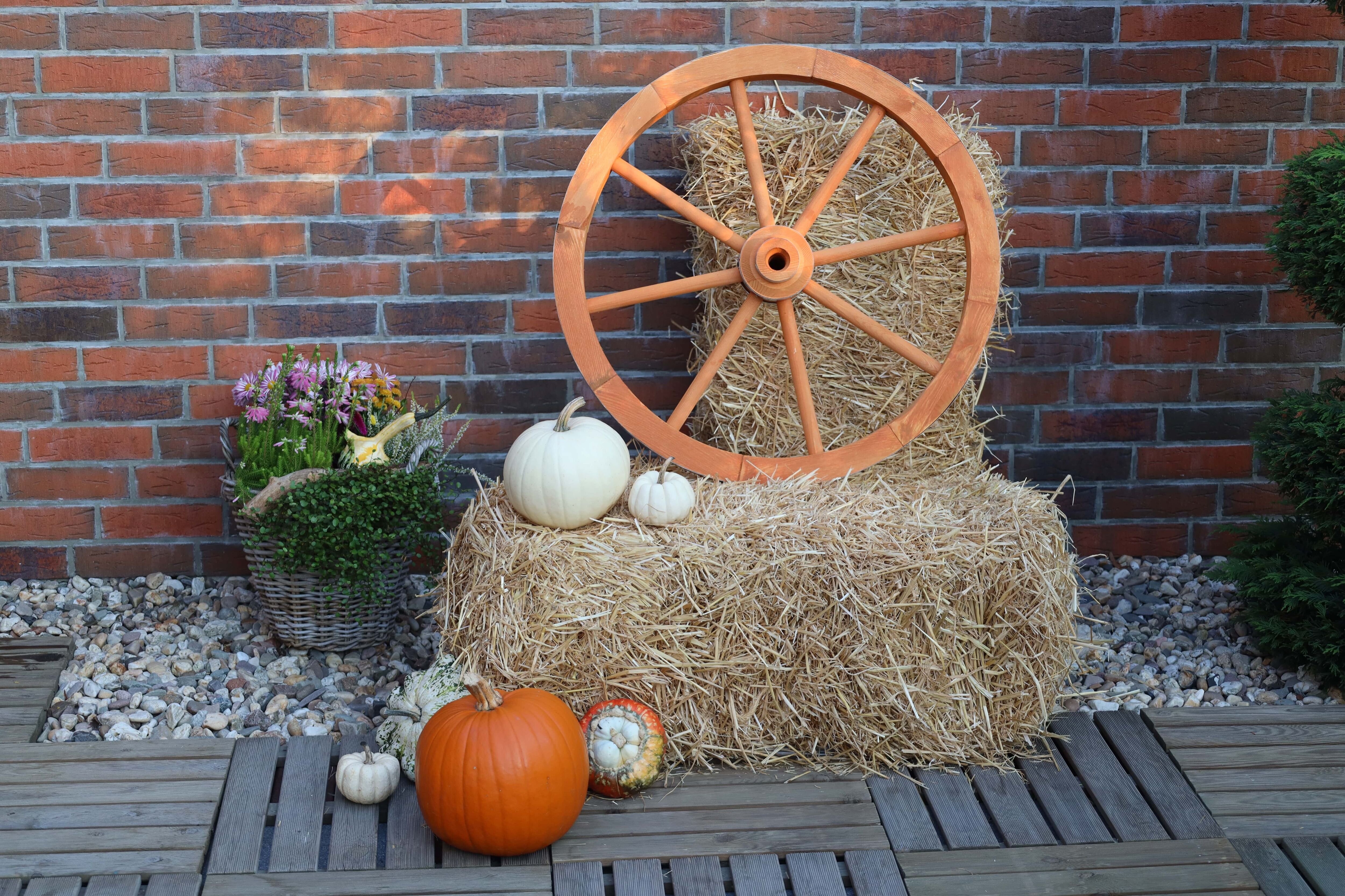 Gartenfigur PROMADINO "Wagenrad mittel", braun, L:16,5cm Ø:74cm, Holzwerkstoff, Gartenfiguren, Gartenfigur, Ø: 74 cm