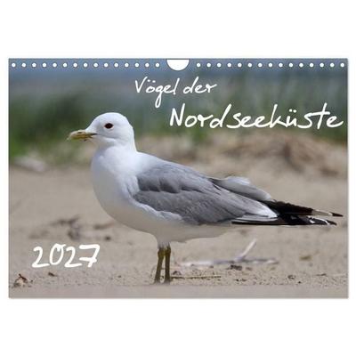 Vögel der Nordseeküste (Wandkalender 2027 DIN A4 quer), CALVENDO Monatskalender