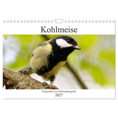 Kohlmeise - Fotografiert von Ostfriesenfotografie (Wandkalender 2027 DIN A4 quer), CALVENDO Monatskalender