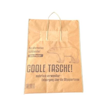 Pack4Food24 80 Bio Tiefkühl/Thermo Tragetaschen aus Papier 38x52cm 3-lagig recycelbar