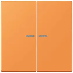 Jung Wippe mit Lichtleiter LC 102 KO5 225