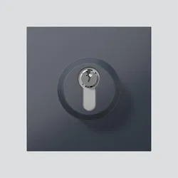 Siedle&amp;Söhne Schloss-Modul SM 611-01 AG
