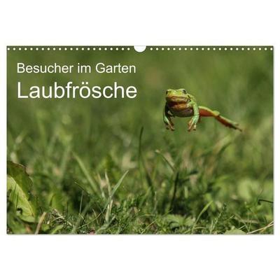 Besucher im Garten - Laubfrösche (Wandkalender 2027 DIN A3 quer), CALVENDO Monatskalender