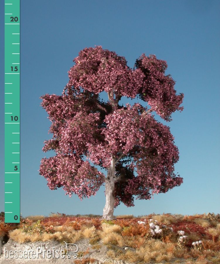 Silhouette 222-12