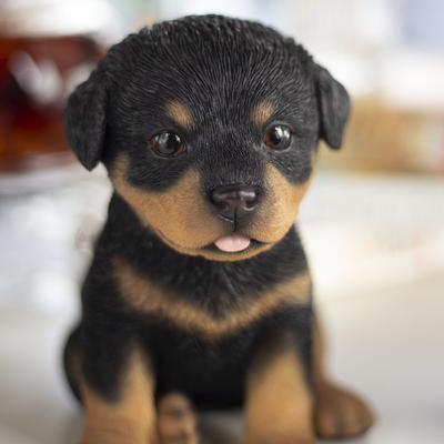 Hi-Line SoReal Brown Rottweiler