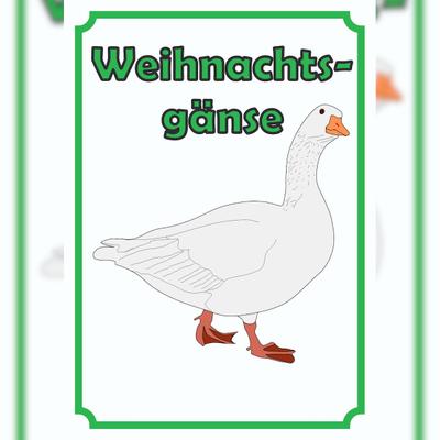 HB-Druck Weihnachtsgans Verkaufsschild Schild Hochkant A6 (105x148mm)