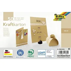 folia 692/5/98 Tonpapier Kraftkarton braun 230 g/qm 50 Blatt(P)