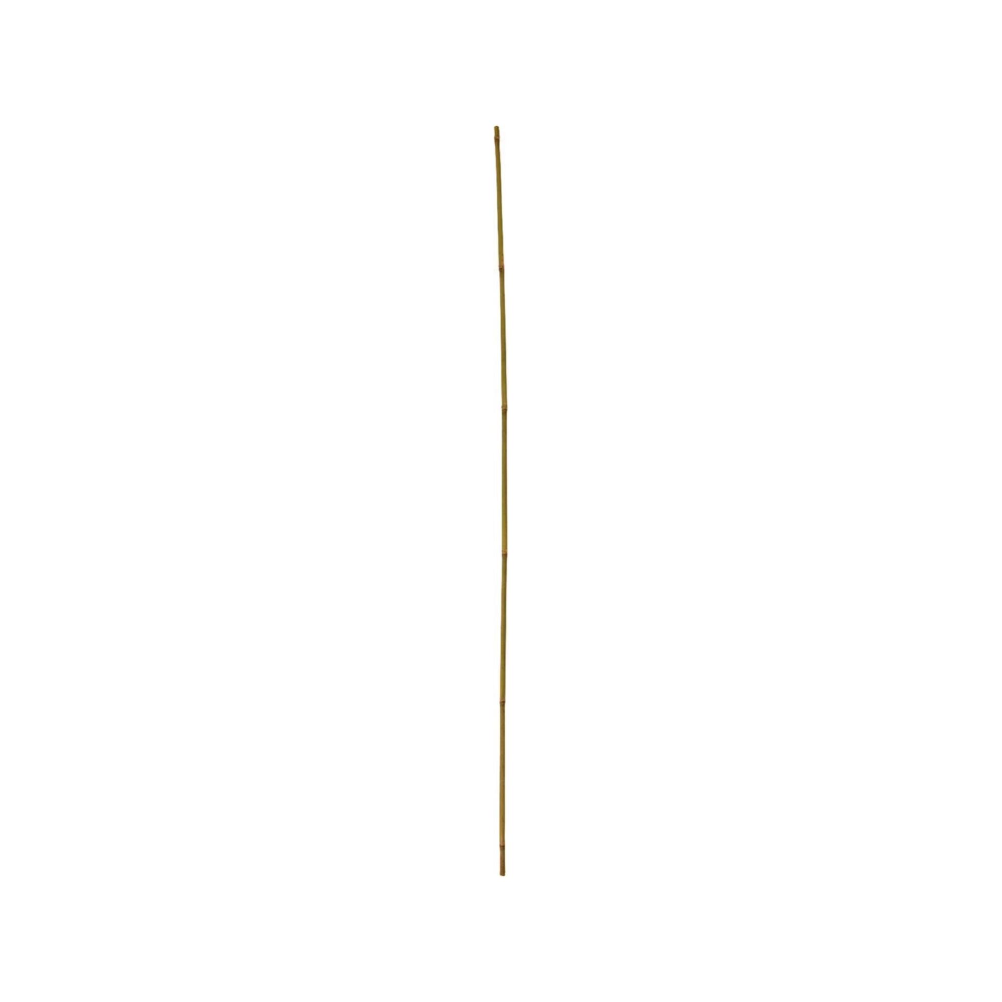 floraworld Tonkin-Pflanzstab, Durchmesser 8-10mm 120cm 10er Bund (011000)