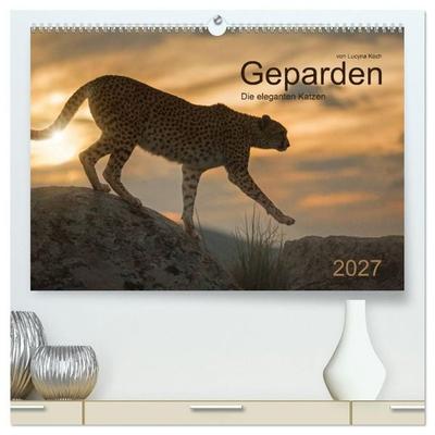 Geparden. Die eleganten Katzen. (hochwertiger Premium Wandkalender 2027 DIN A2 quer), Kunstdruck in Hochglanz