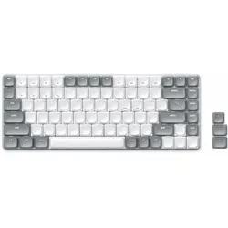 Satechi SM1 (US, Kabelgebunden, Kabellos), Tastatur, Grau, Weiss