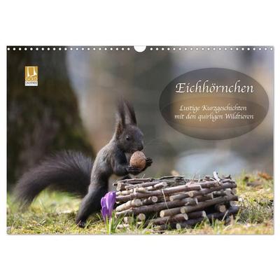 Eichhörnchen - Lustige Kurzgeschichten mit den quirligen Wildtieren (Wandkalender 2027 DIN A3 quer), CALVENDO Monatskalender