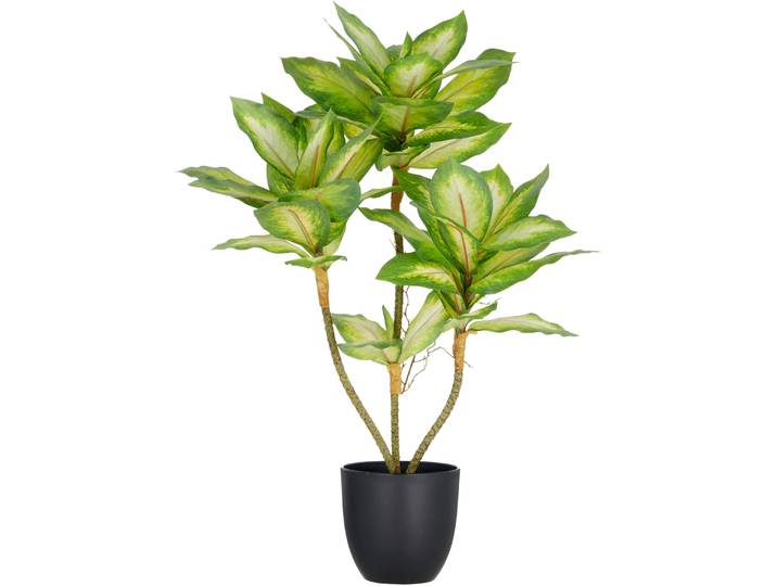 Kunstpflanze CREATIV GREEN Dieffenbachia , grün, H:65cm, Kunststoff, Kunstpflanzen, Kunstpflanze, mit Luftwurzeln