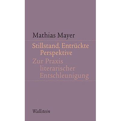 Stillstand. Entrückte Perspektive, Taschenbuch von Mathias Mayer, Wallstein Verlag, 978-3-8353-1442-9