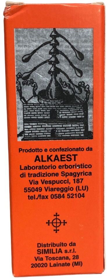 ALKAEST Srl TS22 FIENO GRECO 20ML