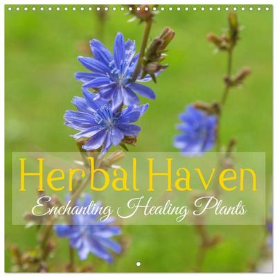 Herbal Haven. Enchanting Healing Plants (Wall Calendar 2026 12 × 12 Inch) CALVENDO 12 Month Wall Calendar