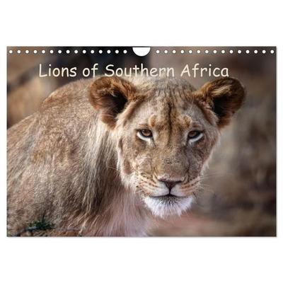 Lions of Southern Africa (Wall Calendar 2026 DIN A4 landscape), CALVENDO 12 Month Wall Calendar