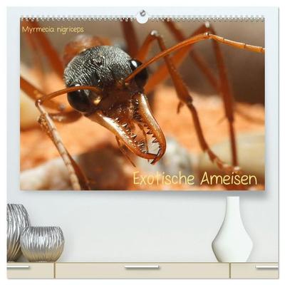 Exotische Ameisen (hochwertiger Premium Wandkalender 2027 DIN A2 quer), Kunstdruck in Hochglanz