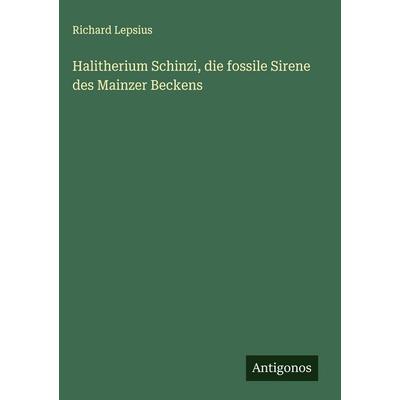 Halitherium Schinzi, die fossile Sirene des Mainzer Beckens, Gebundene Ausgabe von Richard Lepsius, Antigonos Verlag, 978-3-563-48100-4