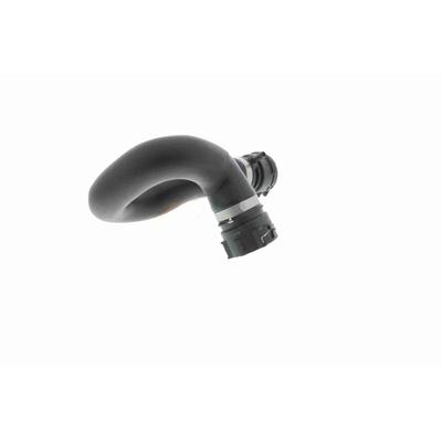 VAICO Kühlerschlauch Original Qualität V10-4283 oben für VAG