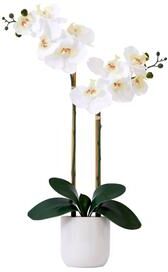 Nearly Natural "26"" Artificial Real to Touch Double Orchid Phalaenopsis with Decorative Vase"