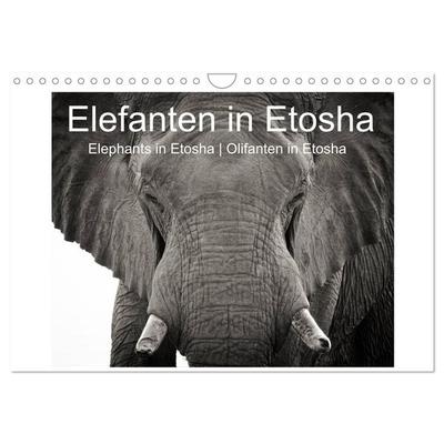 Elefanten in Etosha (Wandkalender 2026 DIN A4 quer), CALVENDO Monatskalender