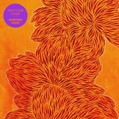 Find Your Flame - Nubiyan Twist, CD
