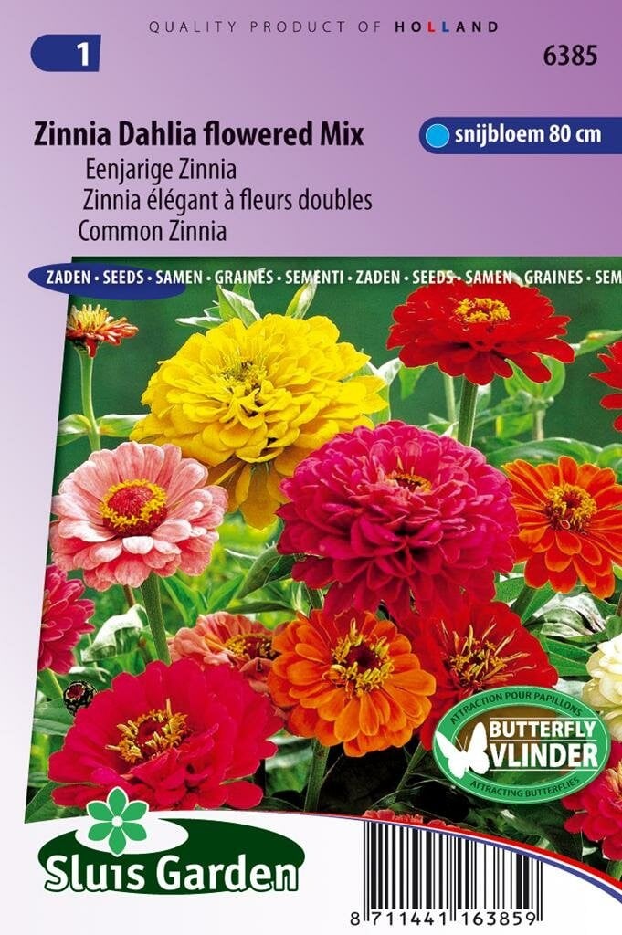Sluis Garden Zinnia Elegans zaden Dahlia bloemig reuzen mix