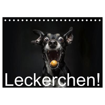 Leckerchen! (Tischkalender 2026 DIN A5 quer), CALVENDO Monatskalender