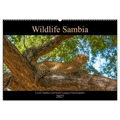 Wildlife Sambia (Wandkalender 2027 DIN A2 quer), CALVENDO Monatskalender