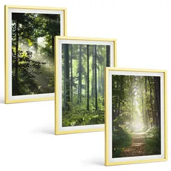 BILDER SET 3er Set - 40x60 cm Goldrahmen - Grüne Wälder mit Lichtstrahlen