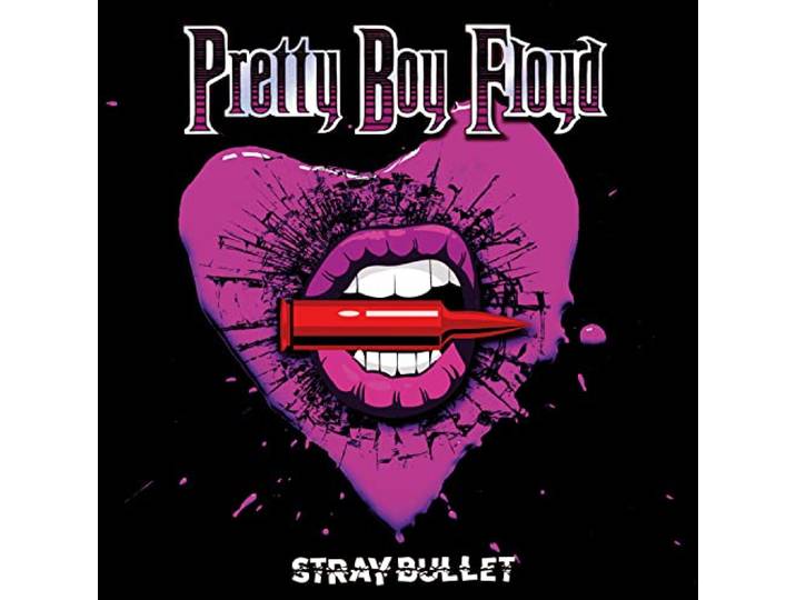 Stray Bullet