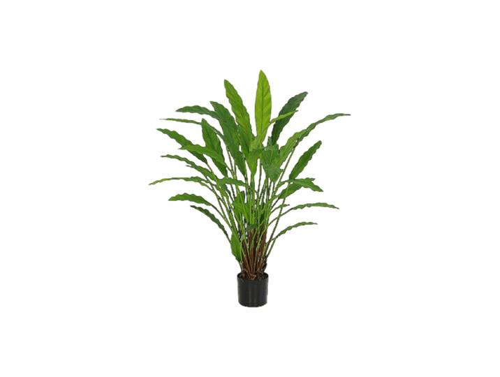 Lebensechte Kunstpflanze „Calathea“ Ø 60/ Höhe 77 cm Grün Baq Design