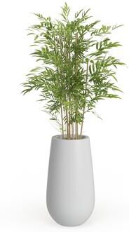 Arcilla Elemental - Green Faux Foliage Bamboo Indoor Outdoor Artificial Tree with Realistic Leaves and White Fiberglass Pot