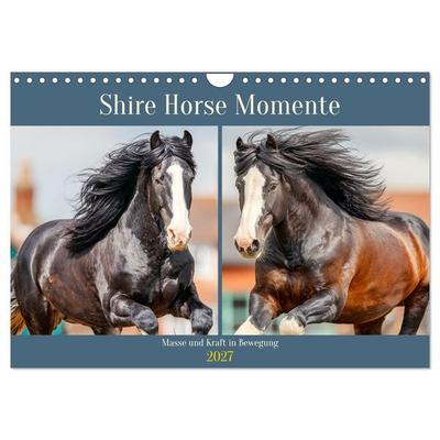 Shire Horse Momente. Masse und Kraft in Bewegung (Wandkalender 2027 DIN A4 quer), CALVENDO Monatskalender