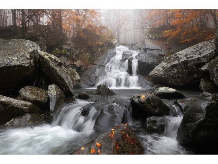 Fototapete PAPERMOON Photo-Art FRANCESCO TAVANI, HERBSTNEBEL , bunt, B:3,5m L:2,6m, Vlies, Tapeten, Fototapete