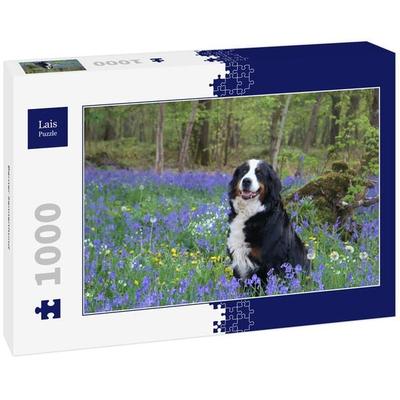 Lais Puzzle Berner Sennenhund 1000 Teile