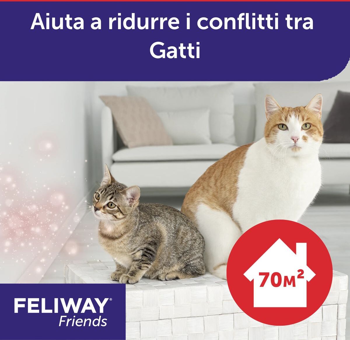 Feliway Friends Ricarica 48ML RICARICA 1PZ