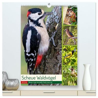Scheue Waldvögel (hochwertiger Premium Wandkalender 2026 DIN A2 hoch), Kunstdruck in Hochglanz