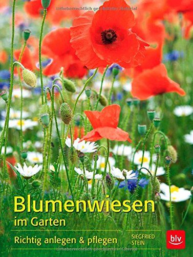 Siegfried Stein - Blumenwiesen im Garten: Richtig anlegen & pflegen - Preis vom 30.09.2026 09:01:18 h