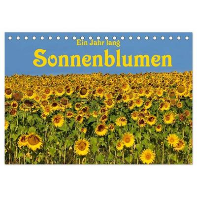 Ein Jahr lang Sonnenblumen (Tischkalender 2026 DIN A5 quer), CALVENDO Monatskalender