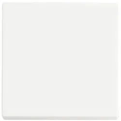 Busch-Jaeger Wippe 1-fach 6735 BT-884 2CKA006730A0149