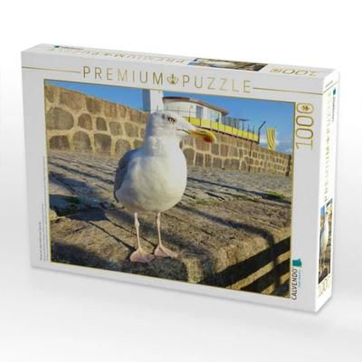 CALVENDO Puzzle Möwe am alten Hafen von Sassnitz | 1000 Teile Lege-Größe 64x48cm Foto-Puzzle für glückliche Stunden