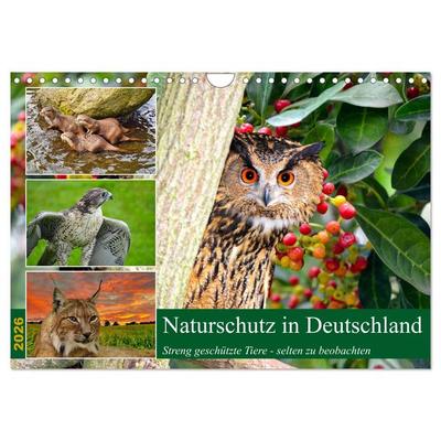 Naturschutz in Deutschland (Wandkalender 2026 DIN A4 quer), CALVENDO Monatskalender
