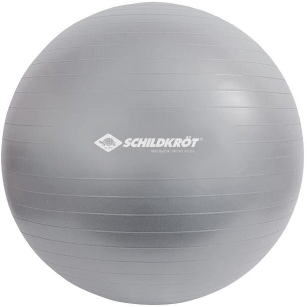 Gymnastikball SCHILDKRÖT-FITNESS "Gymnastikball 65", silber (silberfarben), BälleØ:65cm, Materialmix, Gymnastikball, Ø:65cm silberfarben Einheitsgröße