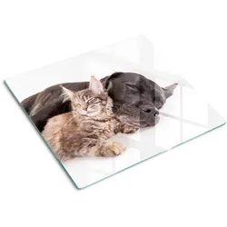GLASPLATTE 60x52 cm Hund und Katze