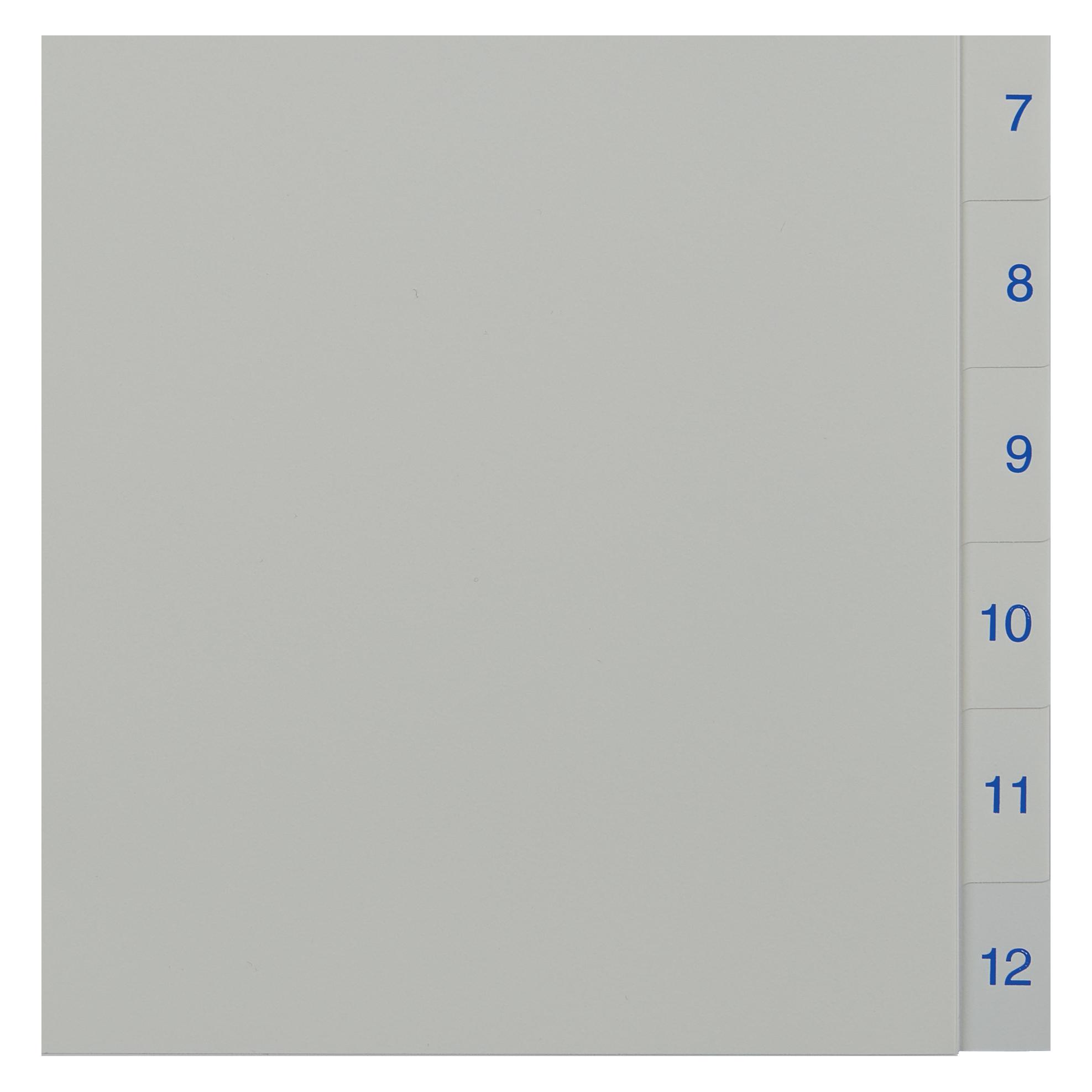 Leitz Esselte Kunststoff-Register, Zahlen, A4, 1-12, weiss Universallochung, Masse: (B)225 x (T)2 x (H)297 (100153)