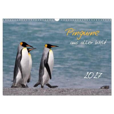 Pinguine aus aller Welt (Wandkalender 2027 DIN A3 quer), CALVENDO Monatskalender