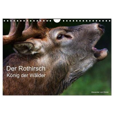 Der Rothirsch, König der Wälder (Wandkalender 2027 DIN A4 quer), CALVENDO Monatskalender