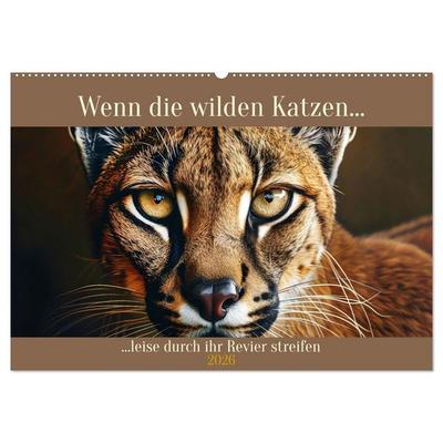 Wenn die wilden Katzen leise durch ihr Revier streifen (Wandkalender 2026 DIN A2 quer), CALVENDO Monatskalender